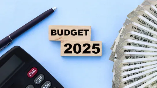 Budget 2025 : दो टैक्स व्यवस्थाओं से पैदा हुआ कन्फ्यूजन, क्या इनकम टैक्स में ‘नए-पुराने’ का कन्फ्यूजन बनेगा इतिहास?