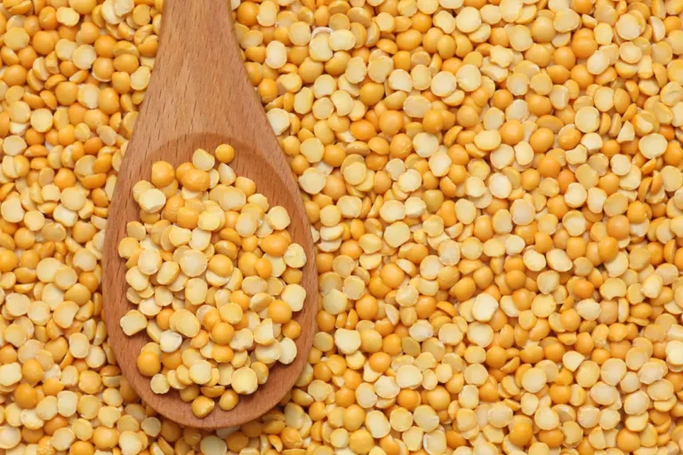 Yellow peas : पीली मटर के शुल्क मुक्त आयात से किसान खुश, जानिए किस के दाम गिरे? नतीजा क्या होगा?